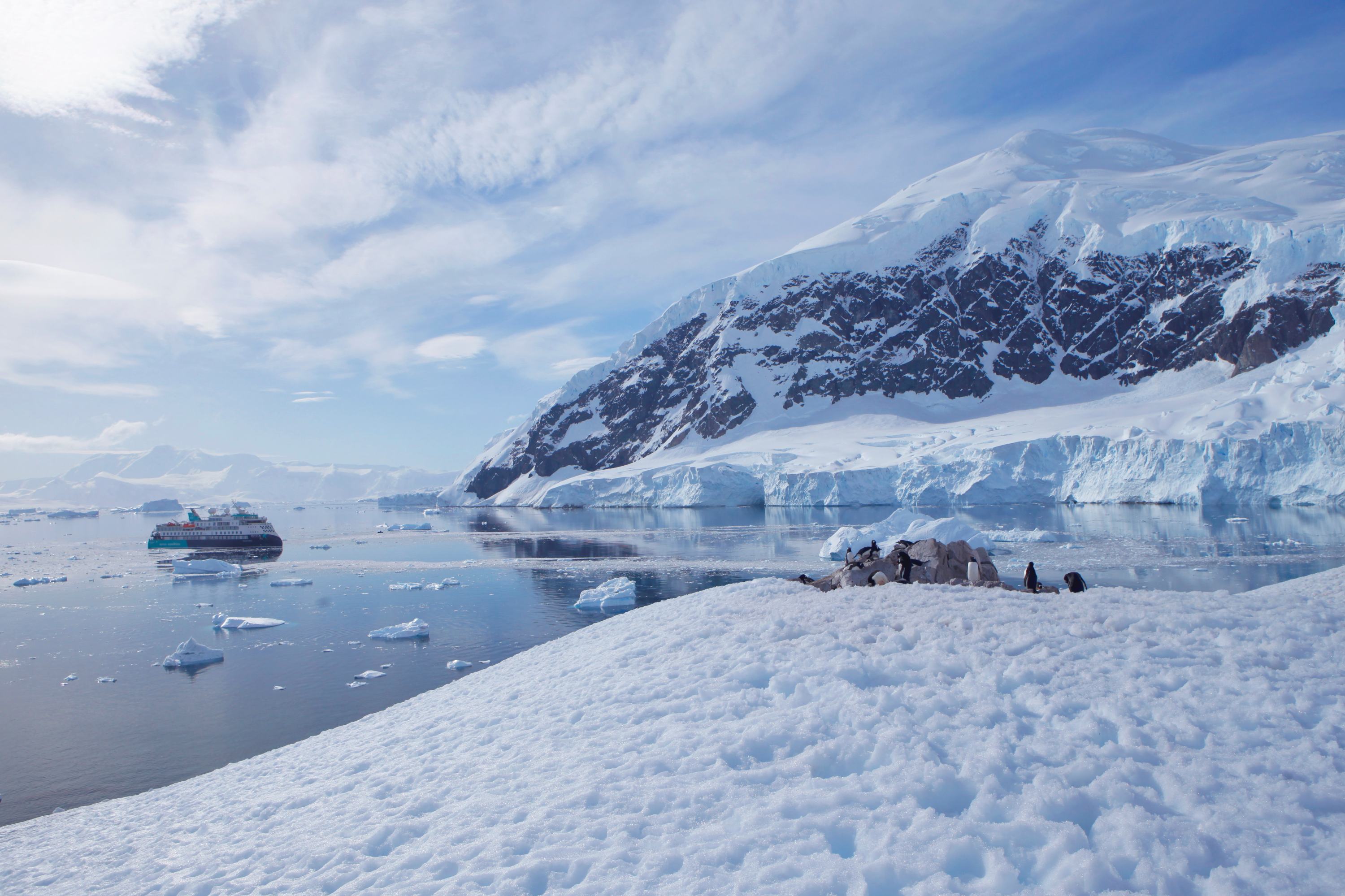 Polarkreuzfahrt mit der Sylvia Earle: Kleine Expeditionsgruppe, intensive Landgänge, moderne Technik und inspirierende Reisen in Arktis oder Antarktis.