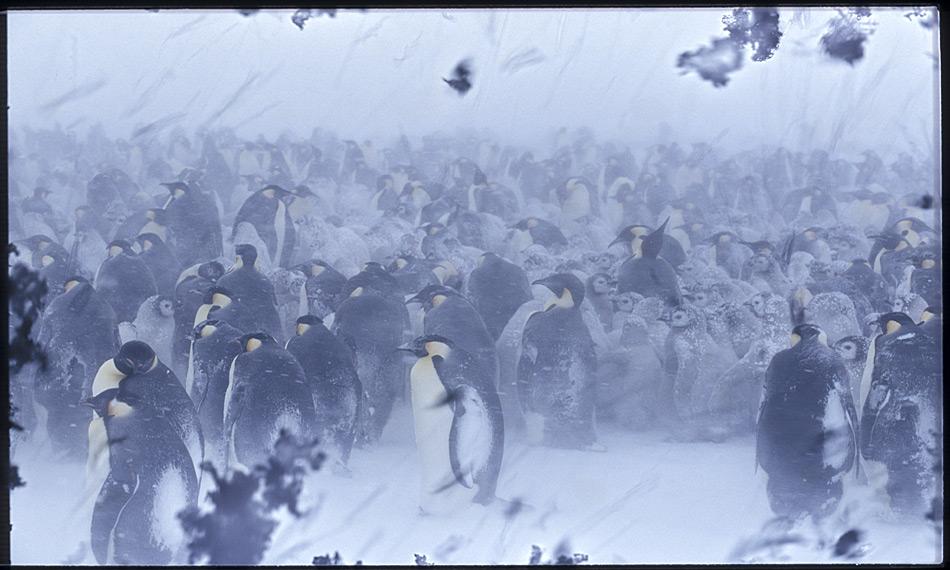 Atmosphärenflüsse verursachen schwere Schneestürme in der Ostantarktis