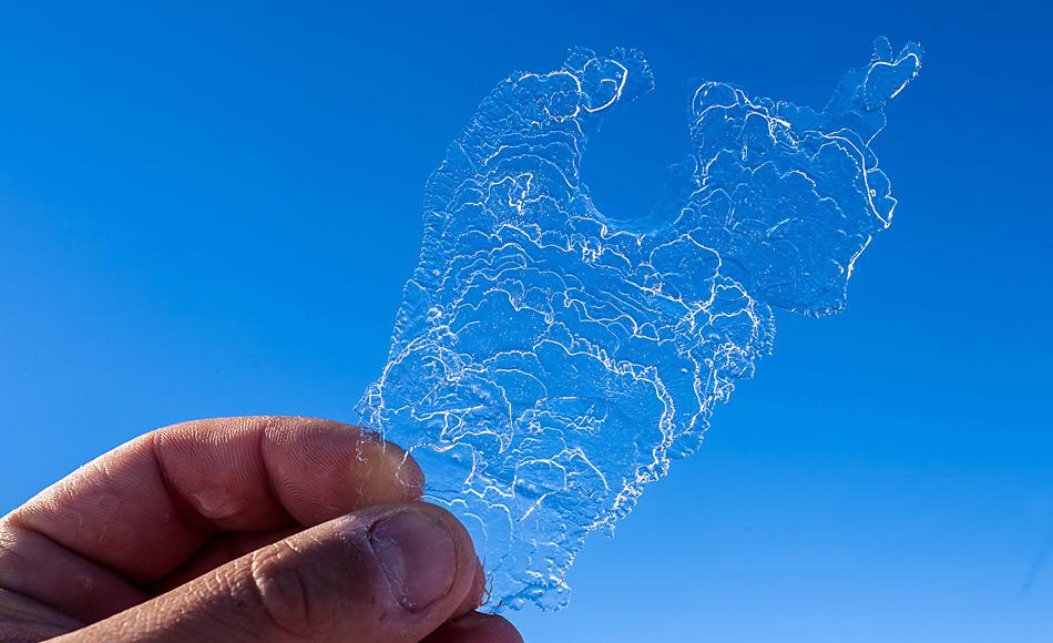 Nahaufnahme eines typischen Eisplättchens aus der Atkabucht, Weddell&shy;meer, Antarktis. Die Plättchen messen bis zu 20 Zentimeter im Durchmesser. Foto: AWI, Mario Hoppmann