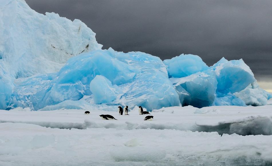 Per Linienflug zu Pinguin & Co