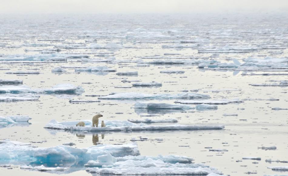 Immer mehr Müll im Arktischen Ozean