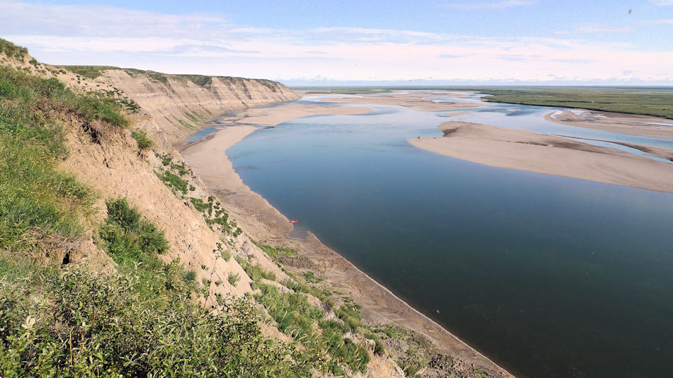 Die Region im Norden von Alaska entlang des Colville Flusses ist heute eine arktische Tundralandschaft. Vor 69 Millionen Jahren lag die Region 10 Grad nördlicher und war eine reichhaltige Landschaft mit einer einzigartigen Tier- und Pflanzenwelt. Bild: Patrick Druckenmiller