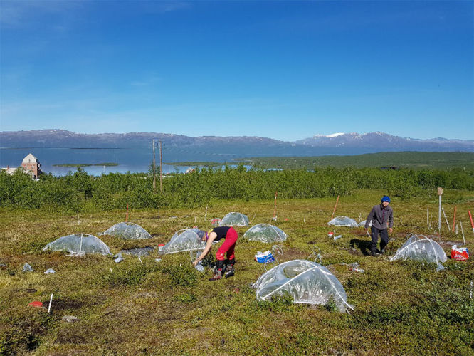 Forscher der Universitu00e4t Kopenhagen nutzen fu00fcr ihre Untersuchungen in Abisko, Schweden,