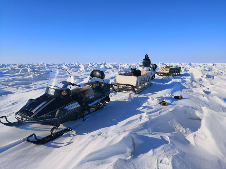 Freiwillige des WWF Russland haben auf einer Schneemobil-Expedition Eisbärenhöhlen gezählt. (Bild: WWF Russland)