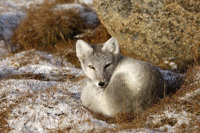 031_Chukotka
