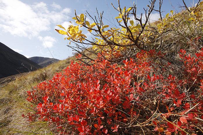 034_Chukotka