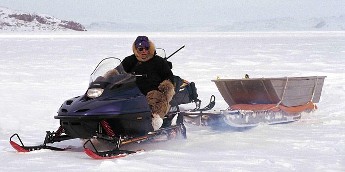 Inuit-Jaeger