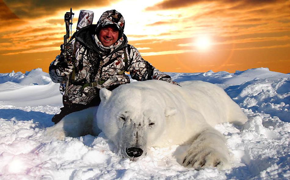Die Jagd auf Eisbären kann weitergehen